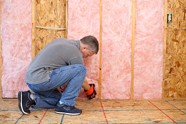 Best Residential Insulation in Vicksburg, MI